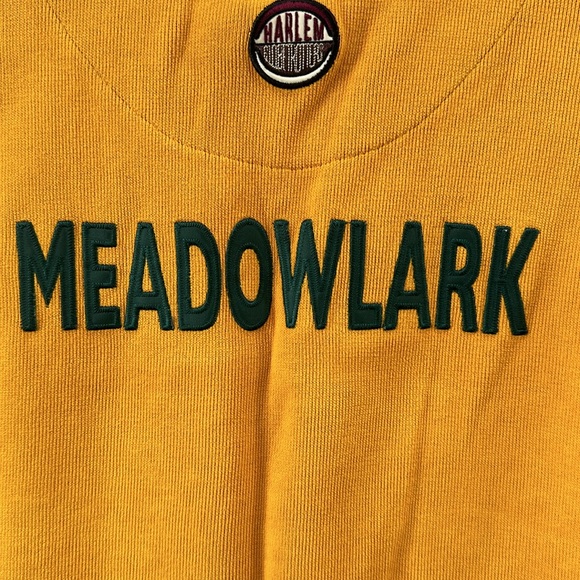 Vintage Harlem Globetrotters #36 Meadowlark FUBU Platinum Basketball Jersey XL - Picture 11 of 14